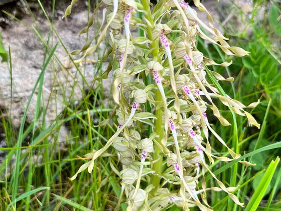 22-05-08 10-47-53 0756